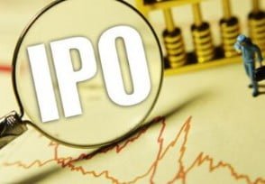 Anupam Rasayan IPO
