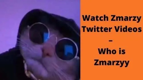 WATCH: Zmarzy Leaked Twitter Video: Who Is Zmarzy? Wiki Bio, & More